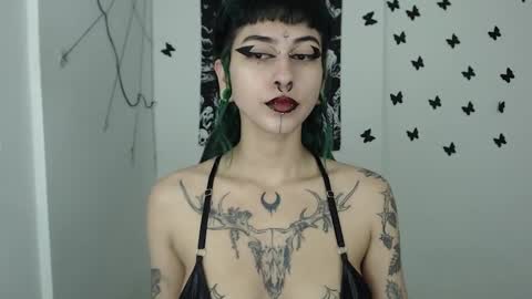 Snapshot of dakota_krall_ chatting on 8, 1, 2025 dakota online show from 8, 1, 2025