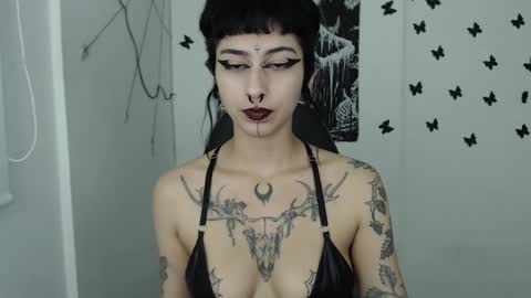 Snapshot of dakota_krall_ chatting on 25, 1, 2025 dakota online show from 25, 1, 2025