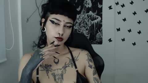 Snapshot of dakota_krall_ chatting on 29, 1, 2025 dakota online show from 29, 1, 2025