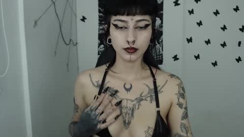 Snapshot of dakota_krall_ chatting on 14, 2, 2025 dakota online show from 14, 2, 2025