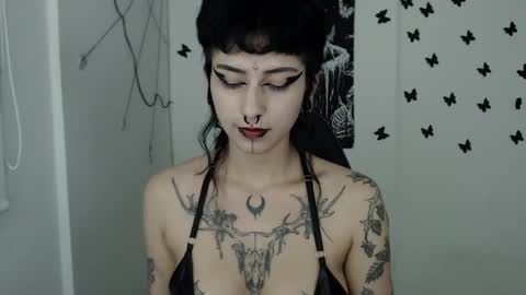 Snapshot of dakota_krall_ chatting on 15, 2, 2025 dakota online show from 15, 2, 2025