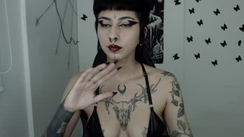 Snapshot of dakota_krall_ chatting on 26, 2, 2025 dakota online show from 26, 2, 2025