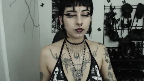 Snapshot of dakota_krall_ chatting on 12, 11, 2025 dakota online show from 12, 11, 2025