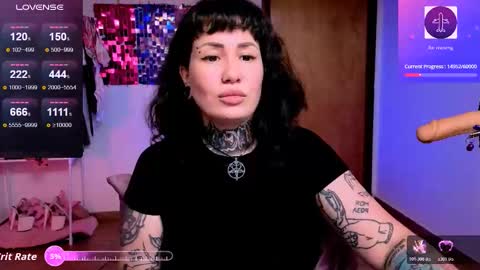 Dakota online show from 26, 2, 2026