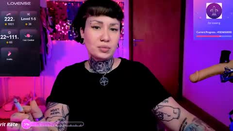 Dakota online show from 25, 3, 2026