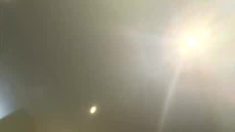 dallybets online show from 14, 12, 2025