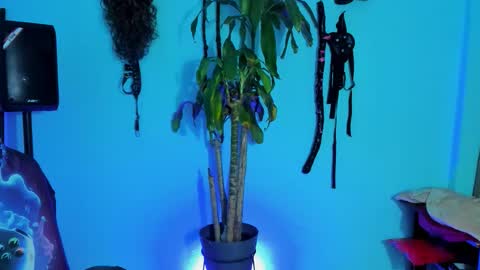 Damian torner online show from 28, 10, 2025