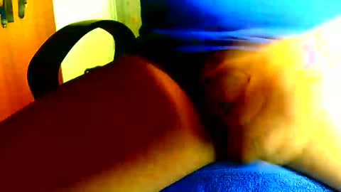 Dammerl online show from 7, 11, 2025