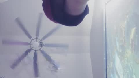 damngina39 online show from 15, 2, 2026