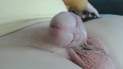 Damocles online show from 20, 10, 2025