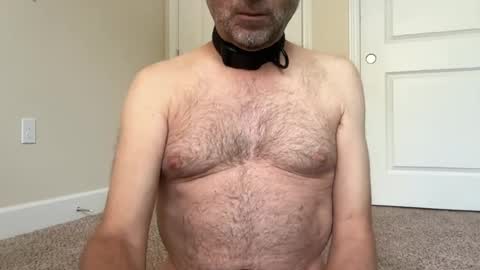 slave being trained online show from 20, 6, 2026