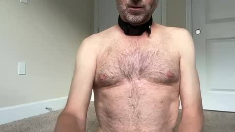 slave being trained online show from 23, 6, 2026