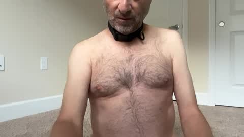 slave being trained online show from 25, 6, 2026