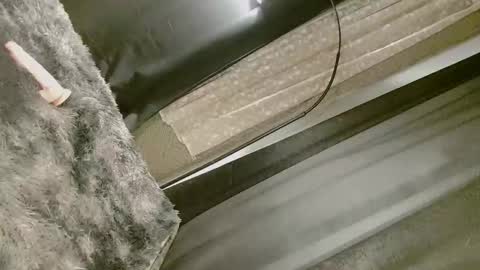 Snapshot of dangerouscock69_nica chatting on 10, 9, 2025 Nica online show from 10, 9, 2025