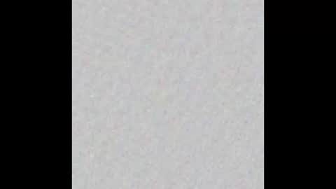 Dani Brasil online show from 21, 12, 2025