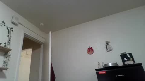 Dani online show from 24, 2, 2025