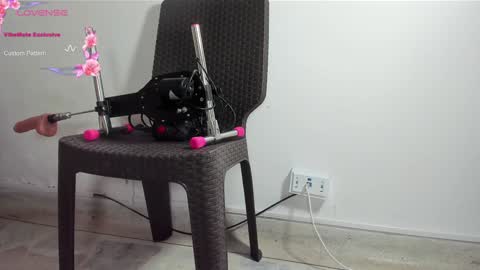 DANI online show from 13, 1, 2025