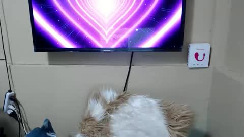 Snapshot of danica_wild chatting on 15, 12, 2025 Danica online show from 15, 12, 2025