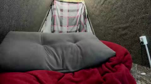 Snapshot of daniel_like chatting on 20, 11, 2025 Just Ben online show from 20, 11, 2025