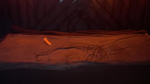 Snapshot of danielareign chatting on 20, 12, 2025 danielareign online show from 20, 12, 2025