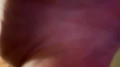 Snapshot of danielartbigd chatting on 6, 12, 2024 Daniel online show from 6, 12, 2024