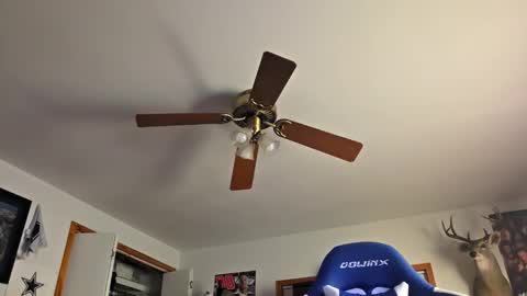 Snapshot of danielp_mod_cb chatting on 22, 10, 2025 Daniel y. online show from 22, 10, 2025