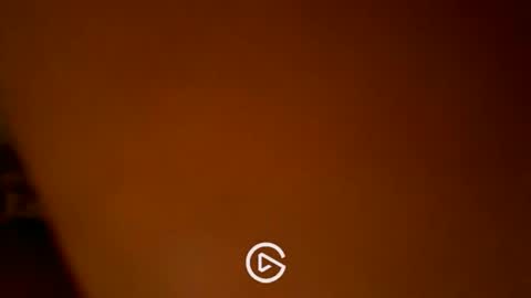 Snapshot of dankshepp chatting on 13, 12, 2024 dandeb online show from 13, 12, 2024