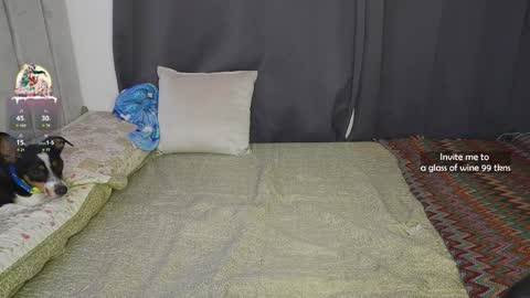    online show from 30, 12, 2024