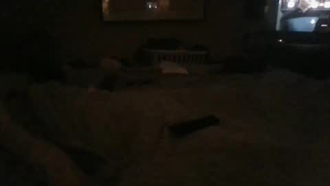 Snapshot of dannyb618 chatting on 24, 12, 2024 Danielle online show from 24, 12, 2024