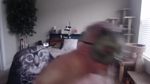 Danny bear online show from 22, 12, 2024