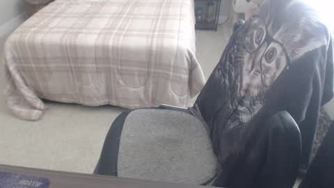 Danny bear online show from 9, 3, 2025