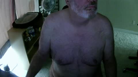 Snapshot of dannybear chatting on 3, 5, 2026 Danny bear online show from 3, 5, 2026