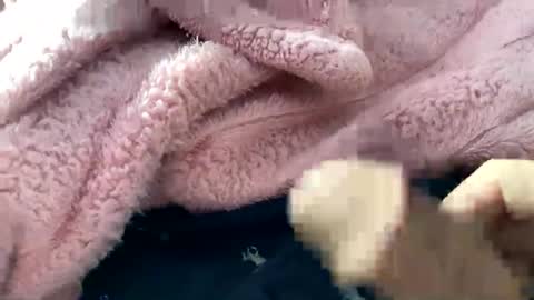 dannyboy621 online show from 10, 11, 2025