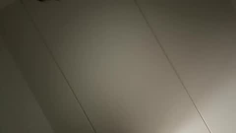 Snapshot of dansker90 chatting on 24, 10, 2025 Danishman online show from 24, 10, 2025