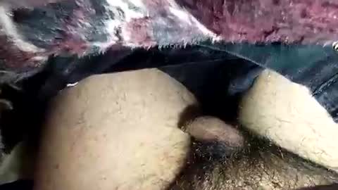 dansweetie_20 online show from 12, 2, 2026