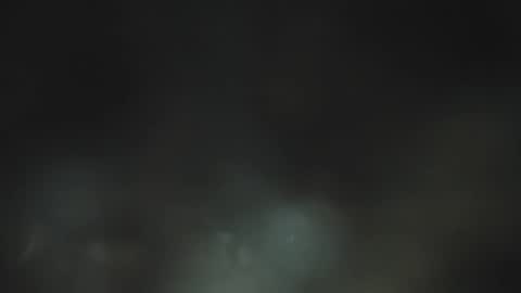 dantee_1_ online show from 21, 12, 2025