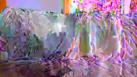 danwick69 online show from 17, 9, 2025