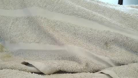 Snapshot of dapppper chatting on 18, 9, 2025 dapppper online show from 18, 9, 2025