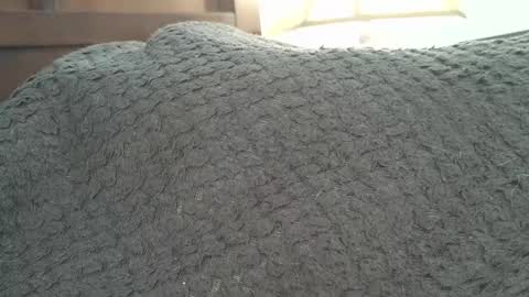 Snapshot of dapppper chatting on 24, 9, 2025 dapppper online show from 24, 9, 2025