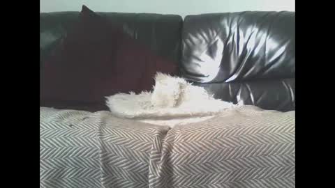 DaRealDonDaddy online show from 9, 3, 2025