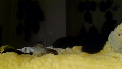 Betty and Robert Play time online show from 13, 1, 2026