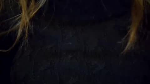 darishechka online show from 23, 11, 2025