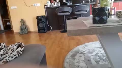 dxd69 online show from 9, 4, 2026