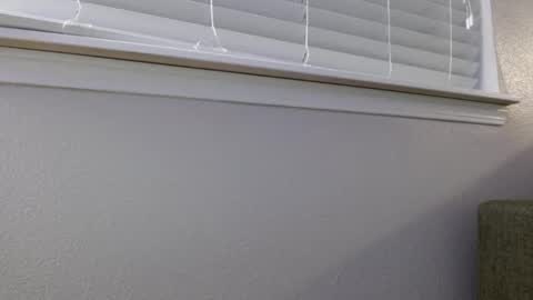 darreck30 online show from 4, 12, 2025