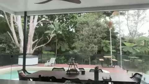 Snapshot of dartanian0001 chatting on 18, 9, 2025 dartanian0001 online show from 18, 9, 2025