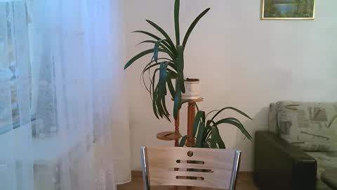 Dario online show from 1, 12, 2025