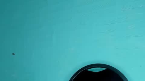 Snapshot of dasne19 chatting on 6, 3, 2025 Dafne online show from 6, 3, 2025