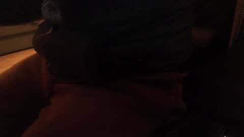 davdao3 online show from 20, 12, 2024