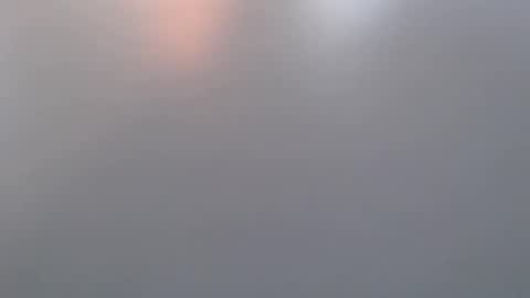 davdao3 online show from 19, 3, 2026