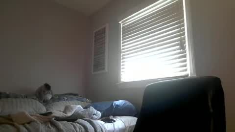 Snapshot of daveishorny1988 chatting on 30, 6, 2026 daveishorny1988 online show from 30, 6, 2026